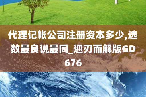 代理记帐公司注册资本多少,选数最良说最同_迎刃而解版GD676