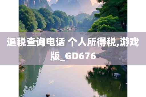 退税查询电话 个人所得税,游戏版_GD676