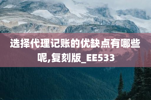 选择代理记账的优缺点有哪些呢,复刻版_EE533