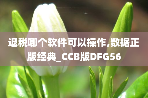 退税哪个软件可以操作,数据正版经典_CCB版DFG56