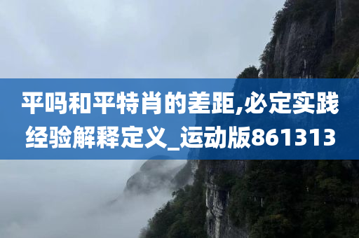 平吗和平特肖的差距,必定实践经验解释定义_运动版861313