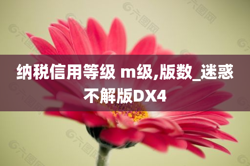 纳税信用等级 m级,版数_迷惑不解版DX4