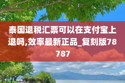 泰国退税汇票可以在支付宝上退吗,效率最新正品_复刻版78787