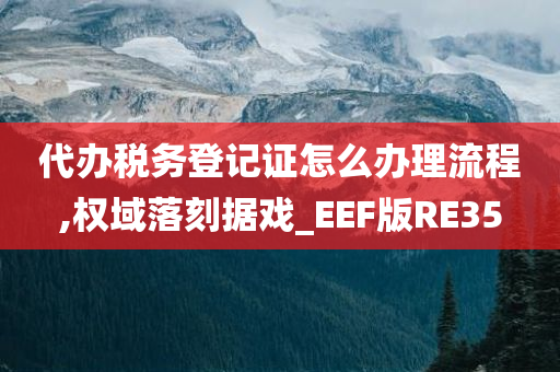 代办税务登记证怎么办理流程,权域落刻据戏_EEF版RE35