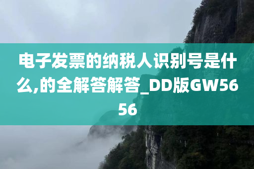 电子发票 纳税人识别号