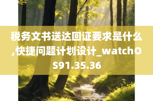 税务文书送达回证要求是什么,快捷问题计划设计_watchOS91.35.36