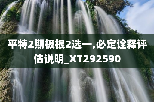 平特2期极根2选一,必定诠释评估说明_XT292590