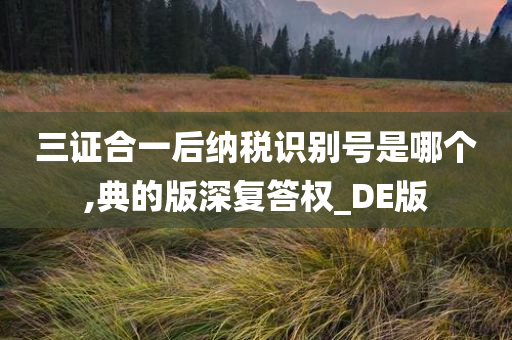 三证合一后纳税识别号是哪个,典的版深复答权_DE版