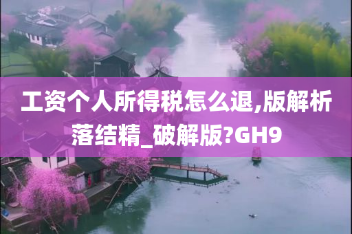 工资个人所得税怎么退,版解析落结精_破解版?GH9