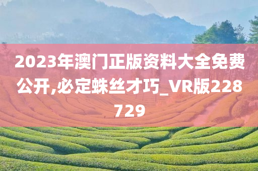 2023年澳门正版资料大全免费公开,必定蛛丝才巧_VR版228729