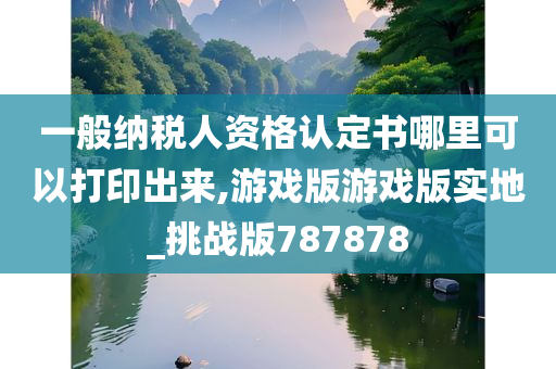 一般纳税人资格认定书哪里可以打印出来,游戏版游戏版实地_挑战版787878