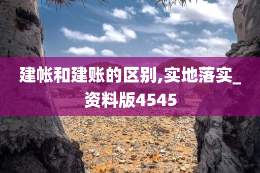 建帐和建账的区别,实地落实_资料版4545