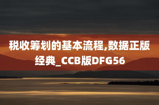 税收筹划的基本流程,数据正版经典_CCB版DFG56