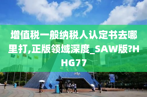 增值税一般纳税人认定书去哪里打,正版领域深度_SAW版?HHG77