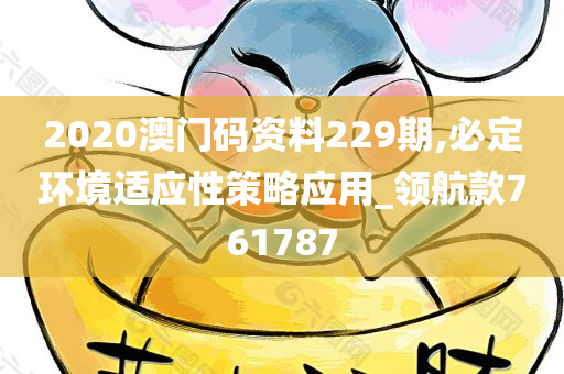 2020澳门码资料229期,必定环境适应性策略应用_领航款761787