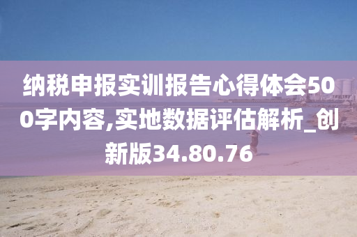 纳税申报实训报告心得体会500字内容,实地数据评估解析_创新版34.80.76