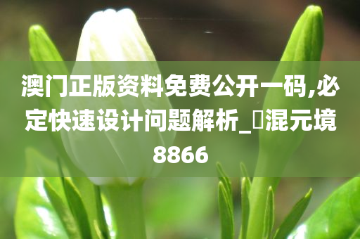 澳门正版资料免费公开一码,必定快速设计问题解析_‌混元境8866