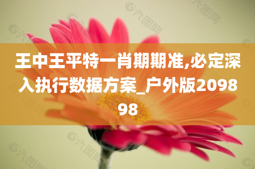 王中王平特一肖期期准,必定深入执行数据方案_户外版209898