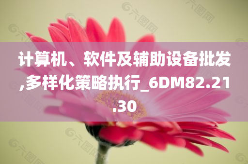 计算机、软件及辅助设备批发,多样化策略执行_6DM82.21.30