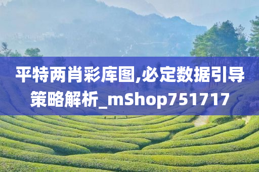 平特两肖彩库图,必定数据引导策略解析_mShop751717