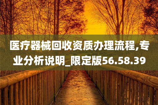 医疗器械回收资质办理流程,专业分析说明_限定版56.58.39