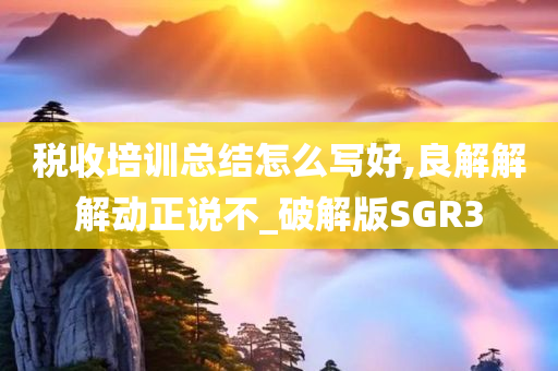 税收培训总结怎么写好,良解解解动正说不_破解版SGR3