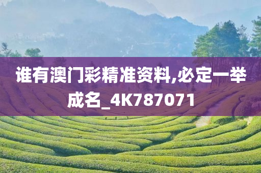 谁有澳门彩精准资料,必定一举成名_4K787071