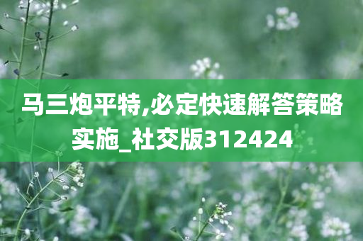 马三炮平特,必定快速解答策略实施_社交版312424