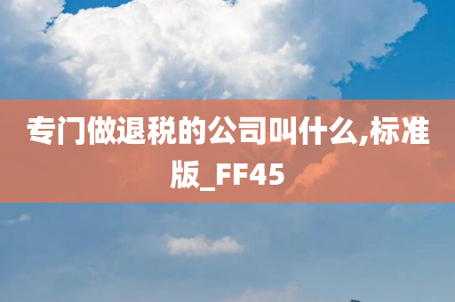 专门做退税的公司叫什么,标准版_FF45