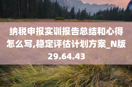 纳税申报实训报告总结和心得怎么写,稳定评估计划方案_N版29.64.43