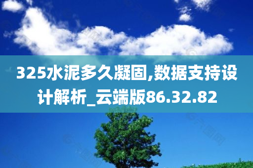 325水泥多久凝固,数据支持设计解析_云端版86.32.82