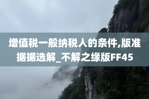 增值税一般纳税人的条件,版准据据选解_不解之缘版FF45