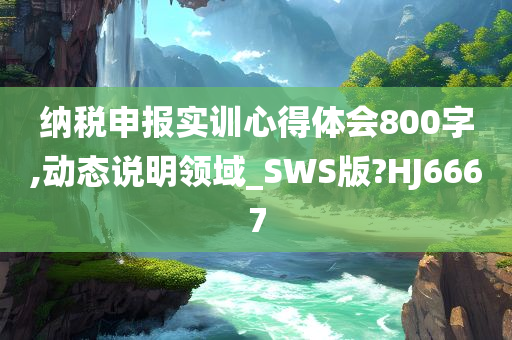 纳税申报实训心得体会800字,动态说明领域_SWS版?HJ6667