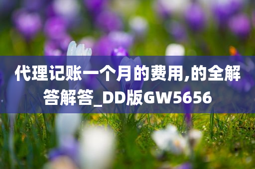 代理记账一个月的费用,的全解答解答_DD版GW5656