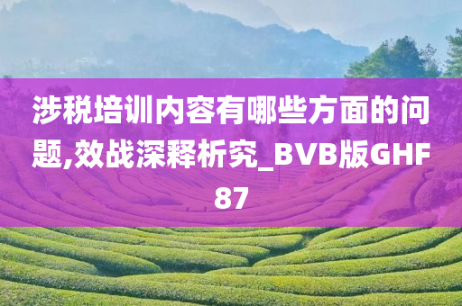 涉税培训内容有哪些方面的问题,效战深释析究_BVB版GHF87