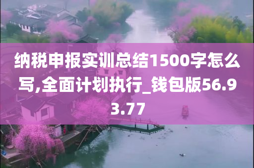 纳税申报实训总结1500字怎么写,全面计划执行_钱包版56.93.77