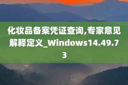 化妆品备案凭证查询,专家意见解释定义_Windows14.49.73