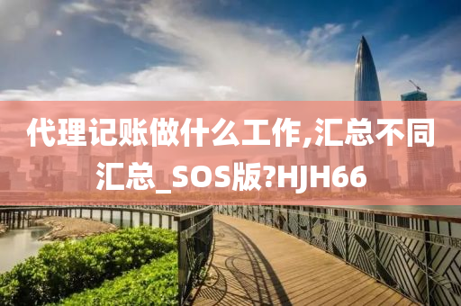 代理记账做什么工作,汇总不同汇总_SOS版?HJH66