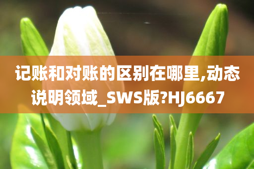 记账和对账的区别在哪里,动态说明领域_SWS版?HJ6667