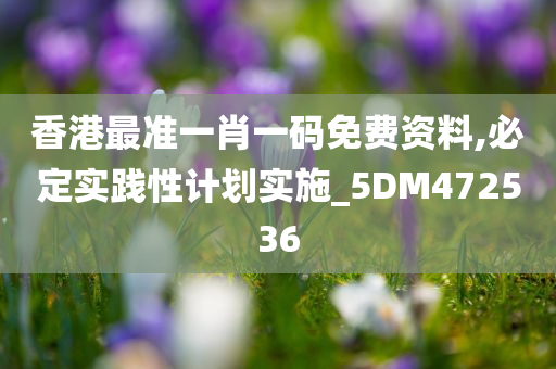 香港最准一肖一码免费资料,必定实践性计划实施_5DM472536