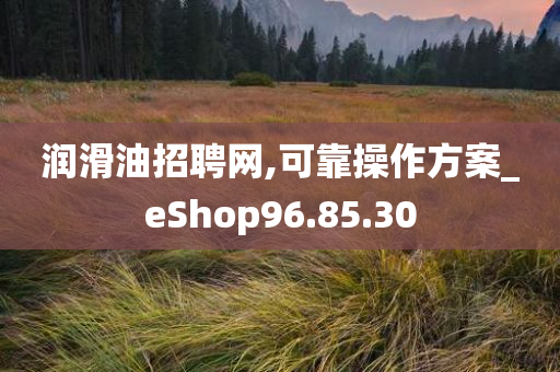 润滑油招聘网,可靠操作方案_eShop96.85.30