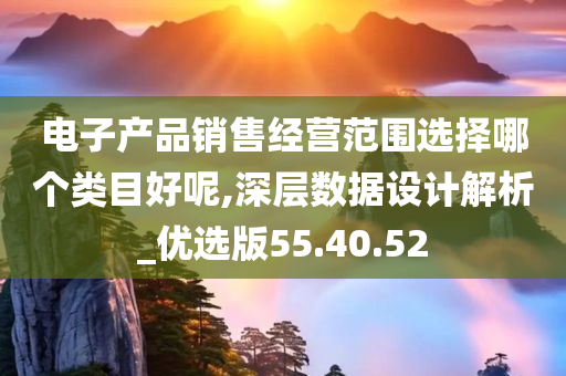 电子产品销售经营范围选择哪个类目好呢,深层数据设计解析_优选版55.40.52