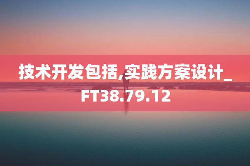 技术开发包括,实践方案设计_FT38.79.12