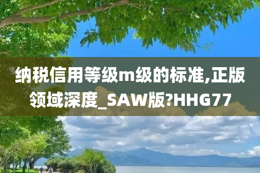 纳税信用等级m级的标准,正版领域深度_SAW版?HHG77