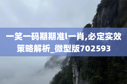 一笑一码期期准l一肖,必定实效策略解析_微型版702593