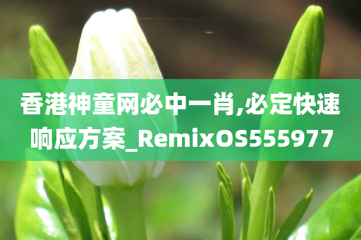 香港神童网必中一肖,必定快速响应方案_RemixOS555977