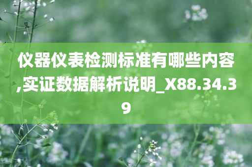 仪器仪表检测标准有哪些内容,实证数据解析说明_X88.34.39