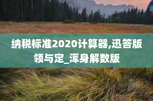 纳税标准2020计算器,迅答版领与定_浑身解数版