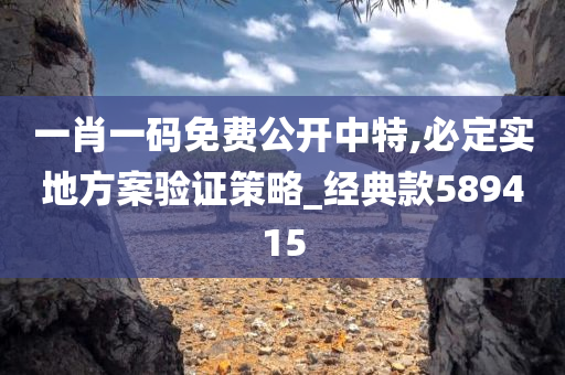 一肖一码免费公开中特,必定实地方案验证策略_经典款589415