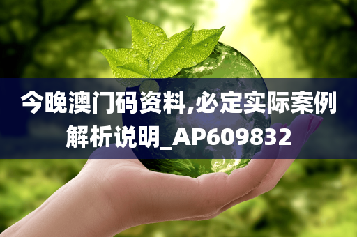 今晚澳门码资料,必定实际案例解析说明_AP609832